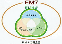 植物の活力をアップさせるＥＭセブン