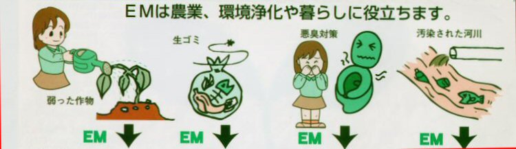 ＥＭ菌は農業、暮らしに役立ちます。