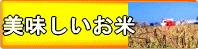 ほんだ農場の仲間達が作った美味しいお米