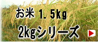 送料無料お米1.5ｋｇ、2ｋｇシリーズ