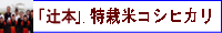 辻本さんの有機栽培米