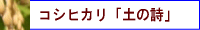 有機栽培米「土の詩」