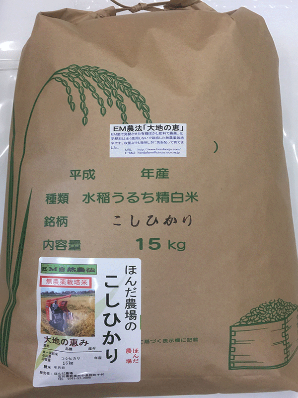 無農薬栽培米コシヒカリ「大地の恵み」15ｋｇ白米