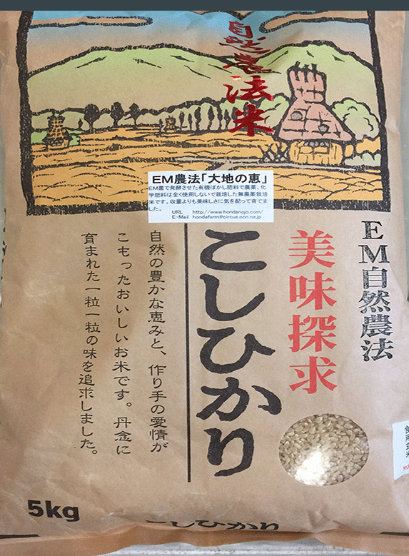 無農薬栽培米「大地の恵み」2ｋｇ食用玄米