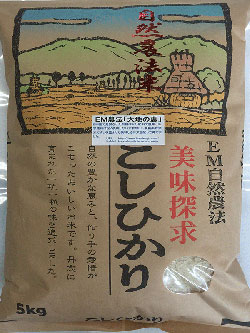 無農薬栽培米「大地の恵み」5ｋｇ食用玄米