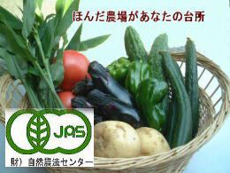 無農薬野菜セット