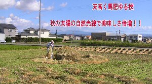 天日干しコシヒカリ「天地の誉」