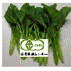 有機、無農薬野菜、葉菜類